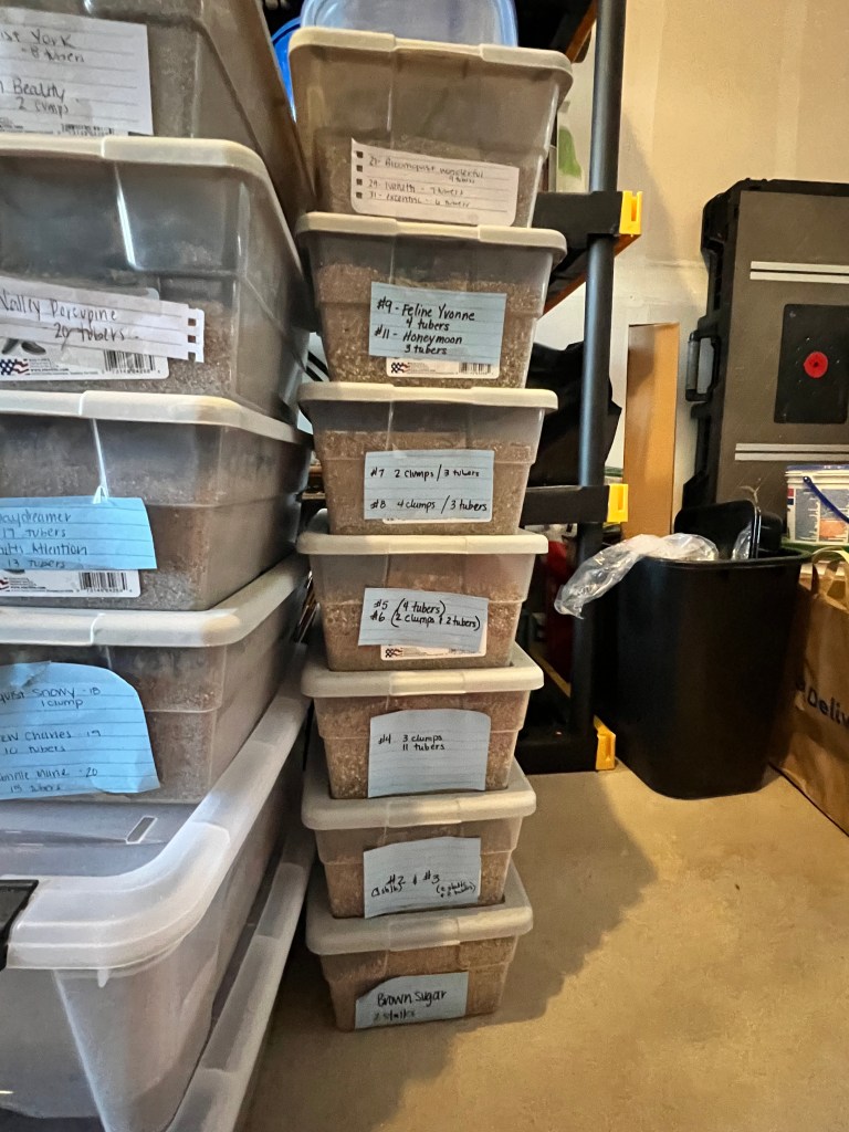 Stacked plastic storage containers labeled with various items including 'Feline Yvonne,' 'Brown Sugar,' and others, organized for easy identification.